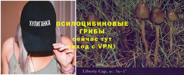 скорость mdpv Киров