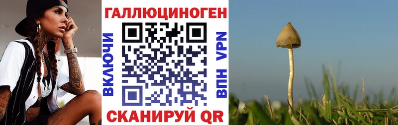 Псилоцибиновые грибы MAGIC MUSHROOMS Олонец